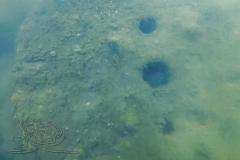 DJI_20260628110726_0001_D_1782645287809x