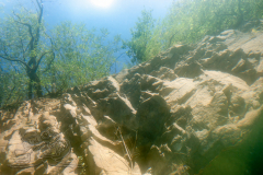 DSC01129x
