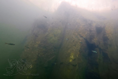DJI_20260907184259_0223_D_1788850623353x