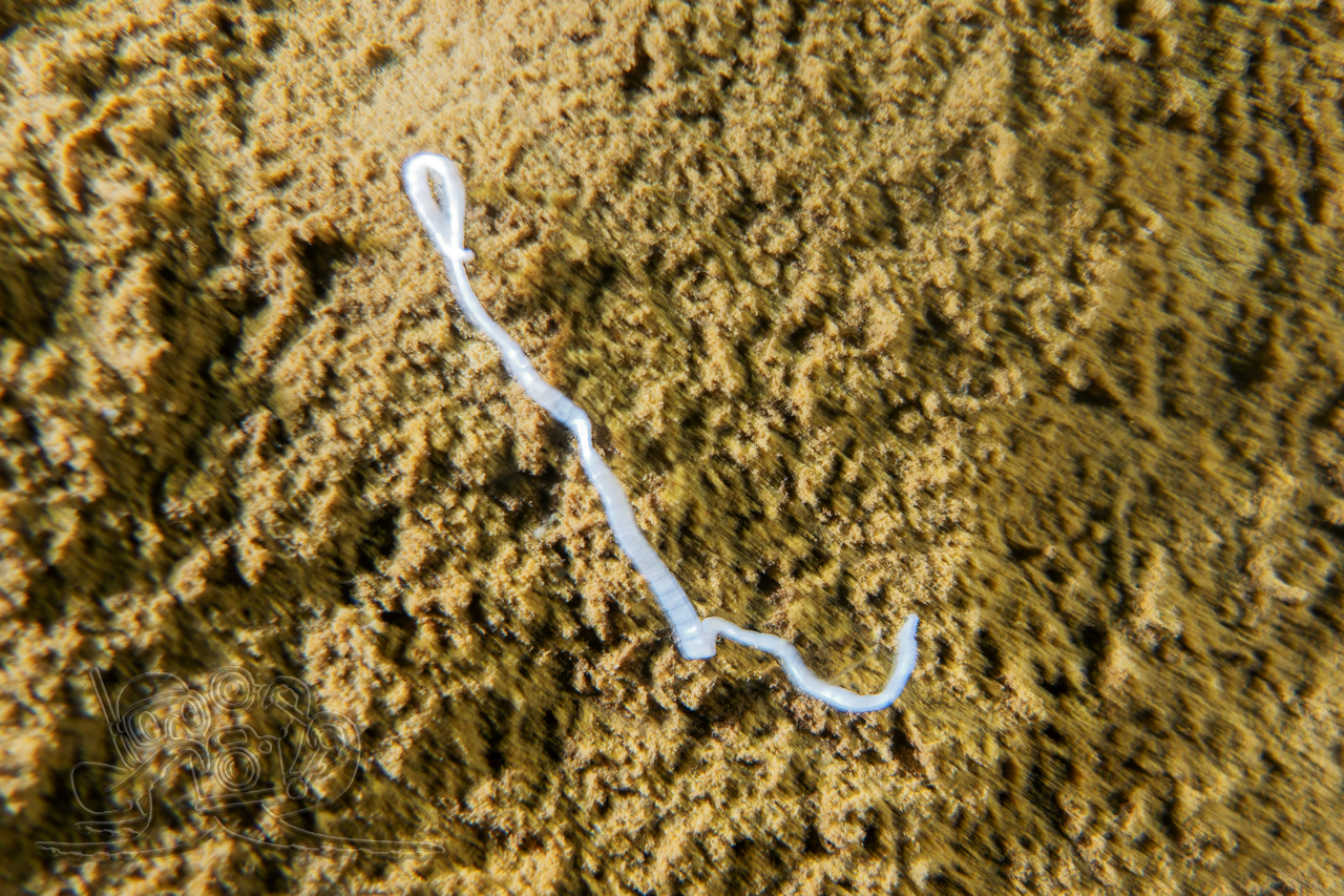 DSC01405x