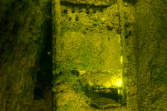 DSC01773x