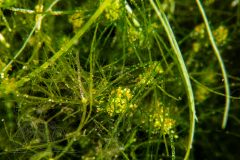 DSC06378x