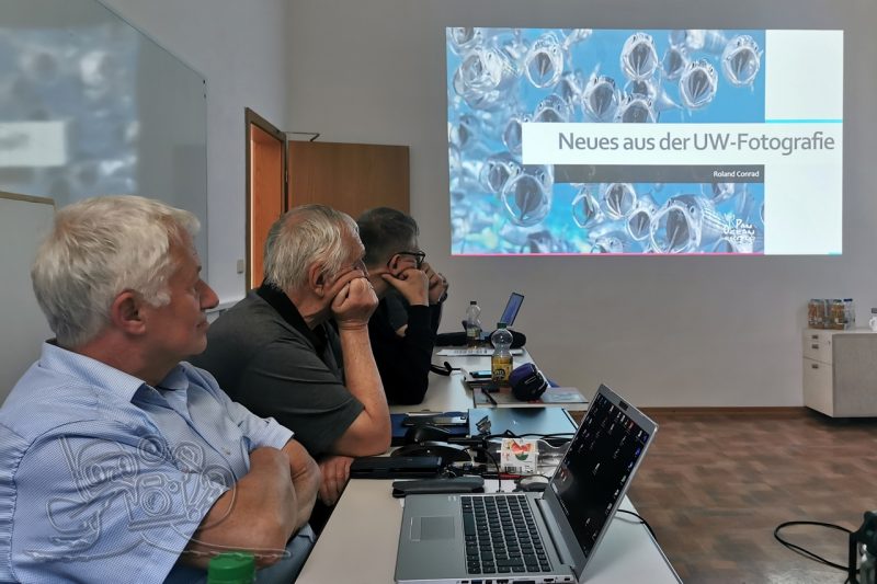 Workshop und Filmnacht im TANA