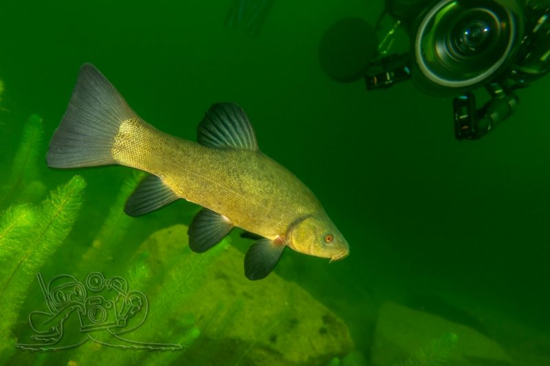 Suchmission erfolgreich