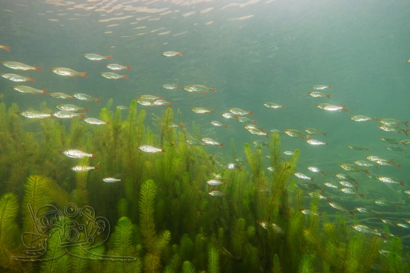 Auf Inspektionsrunde