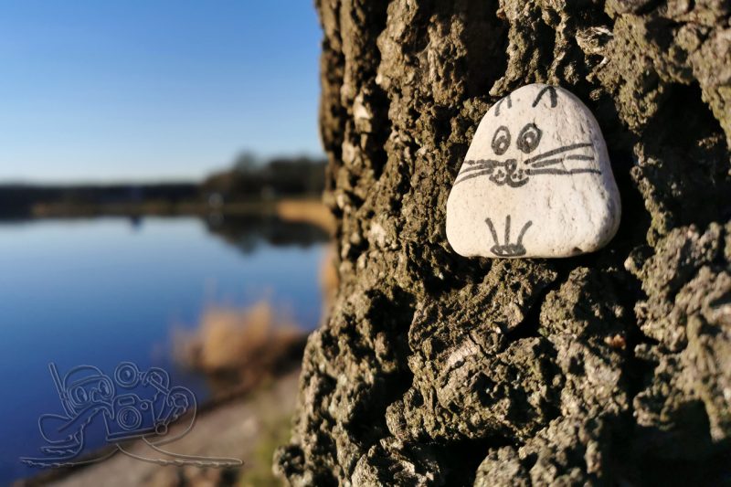 Sonnenbad auf der Seeterrasse