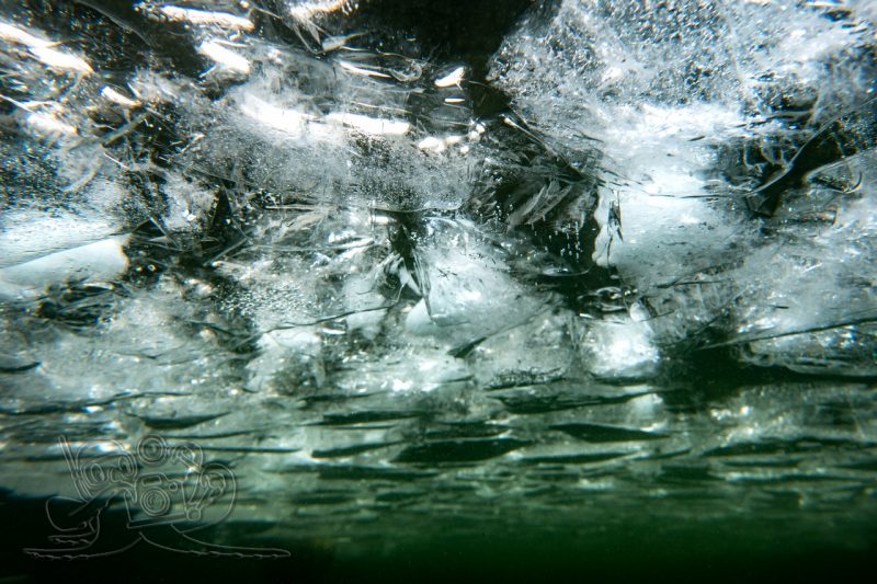 Als Eisbrecher im Einsatz