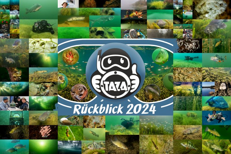 TAZA-Taucherjahr 2024