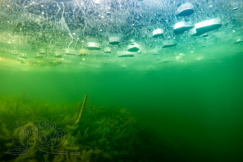 Noch einmal unterm Eis