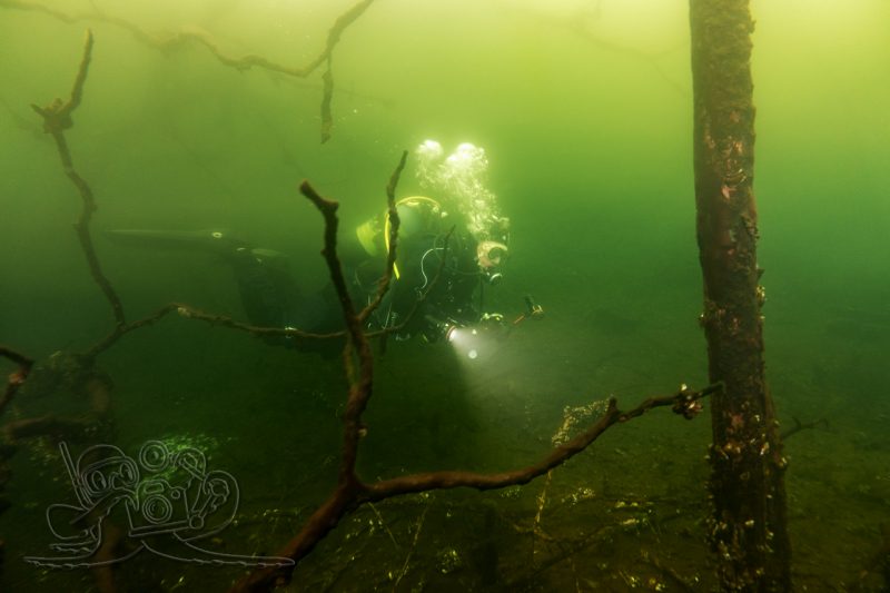 Im Tollertbruch abgetaucht