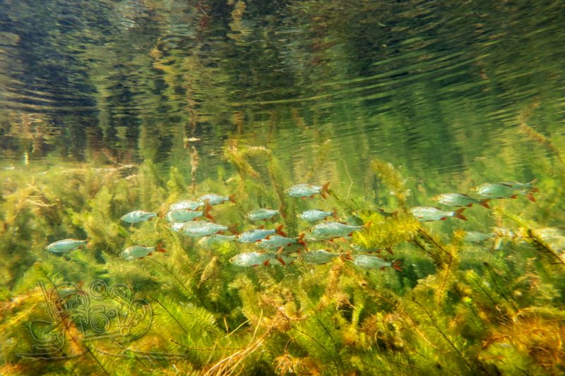 Frühling mit Verspätung