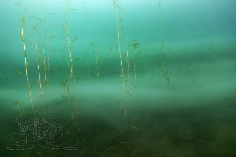 Unter der Kaltfront weggetaucht