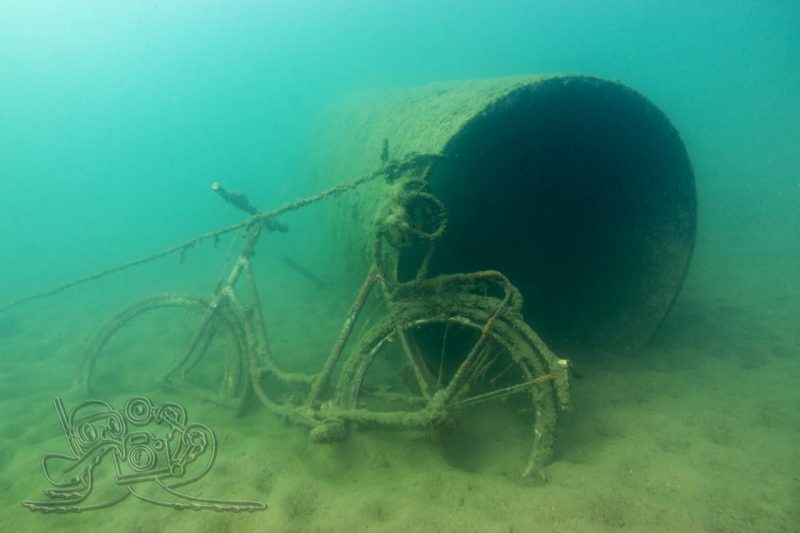 Ab 12 Metern wird es grün