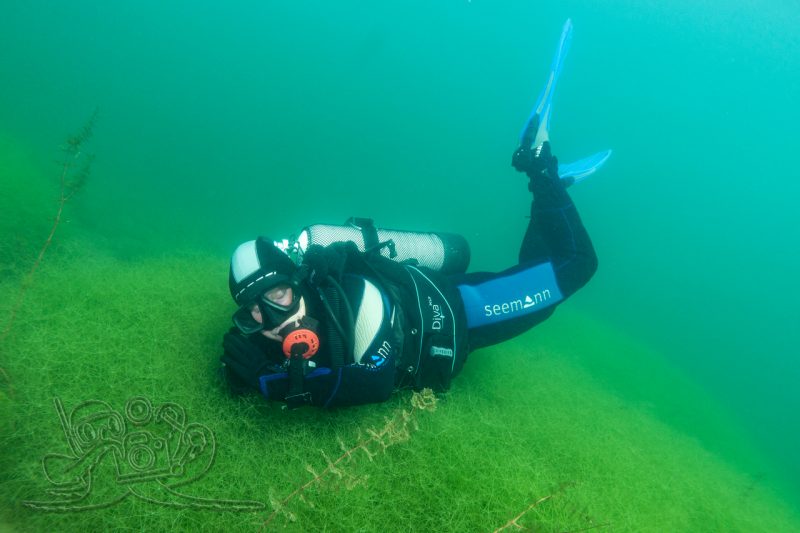 Mittagsruhe im Moritzsee