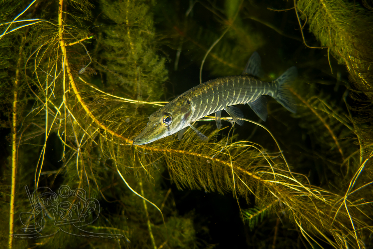 Winterruhe hält Einzug