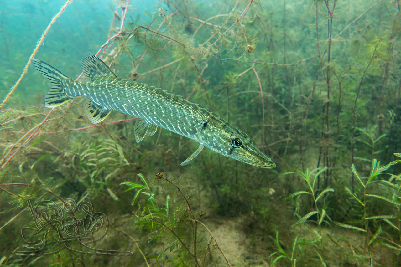 Oben bunt, unten bewölkt