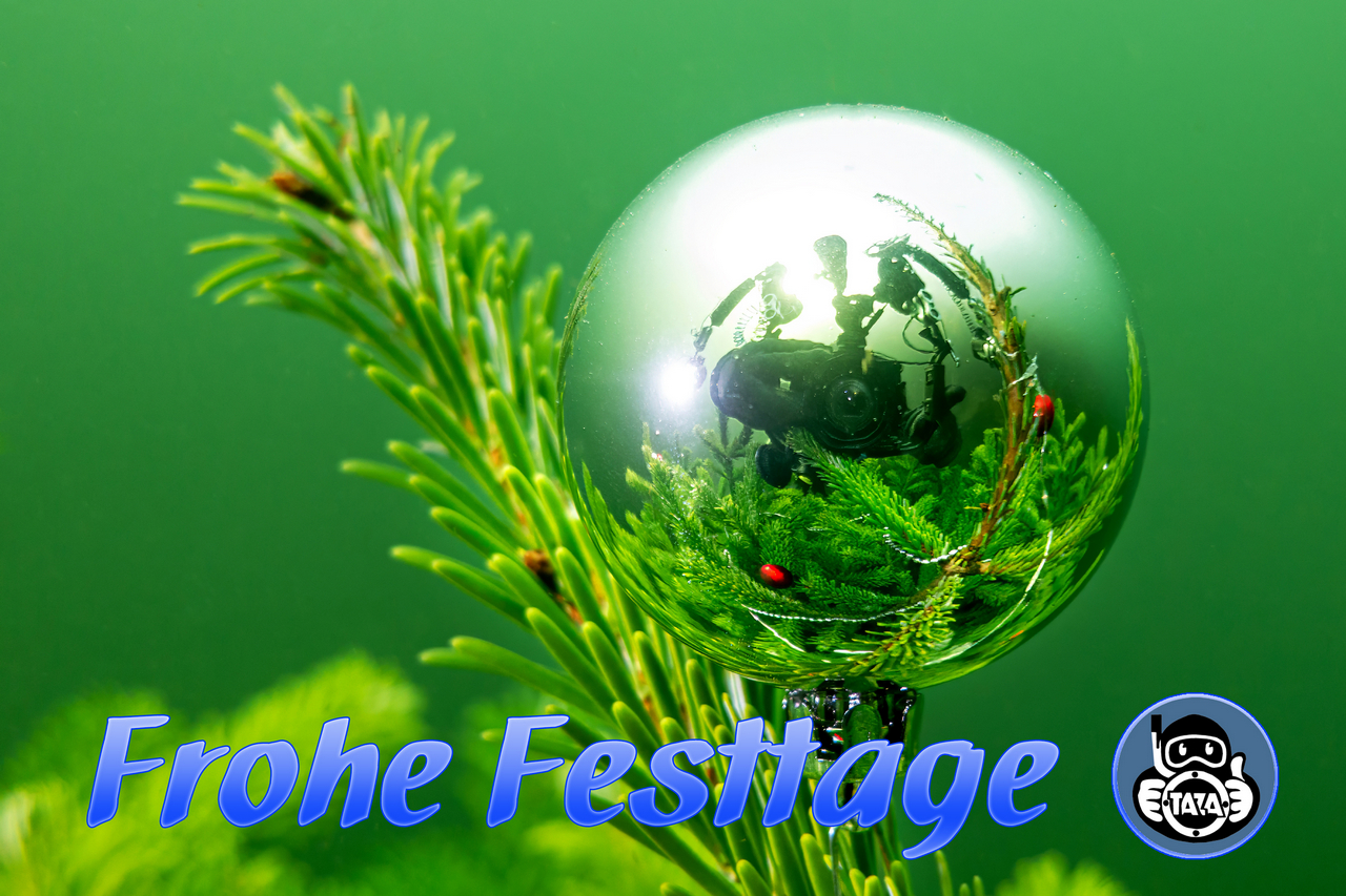 Frohe Festtage