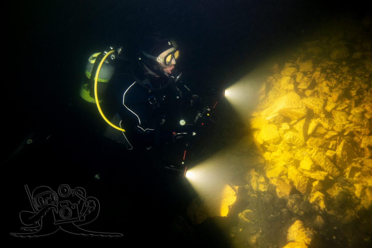 Auf der Suche nach Sicht