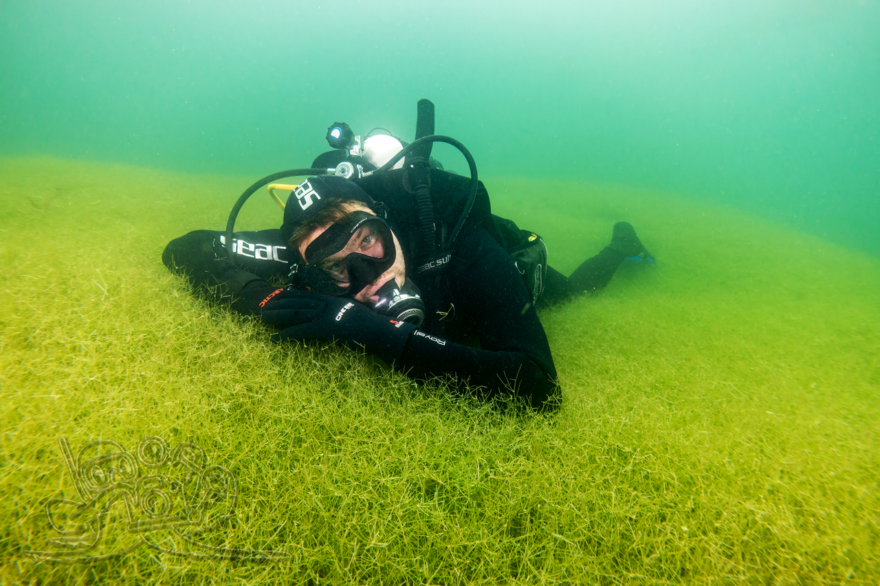 Herbstruhe im Moritzsee